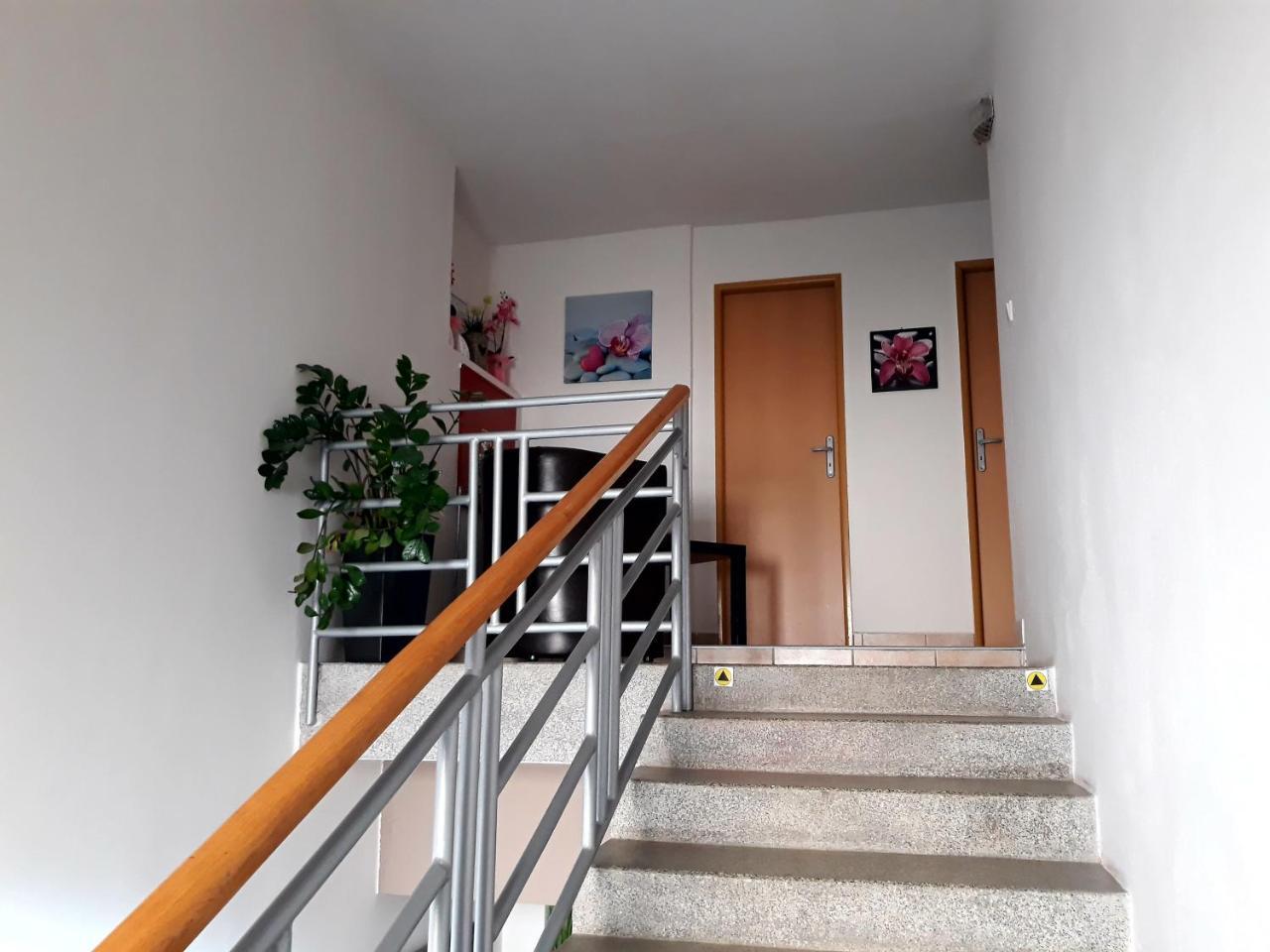 Penzion Fox Nemšová Exteriör bild
