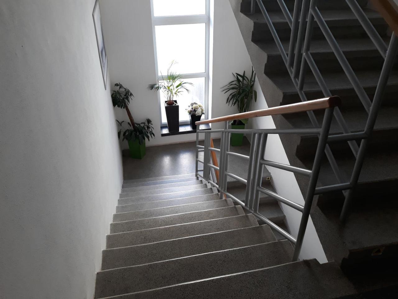 Penzion Fox Nemšová Exteriör bild